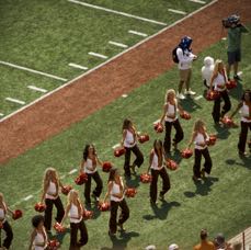 DSC_2290.png