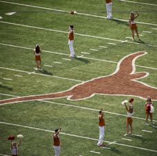 DSC_2183.png